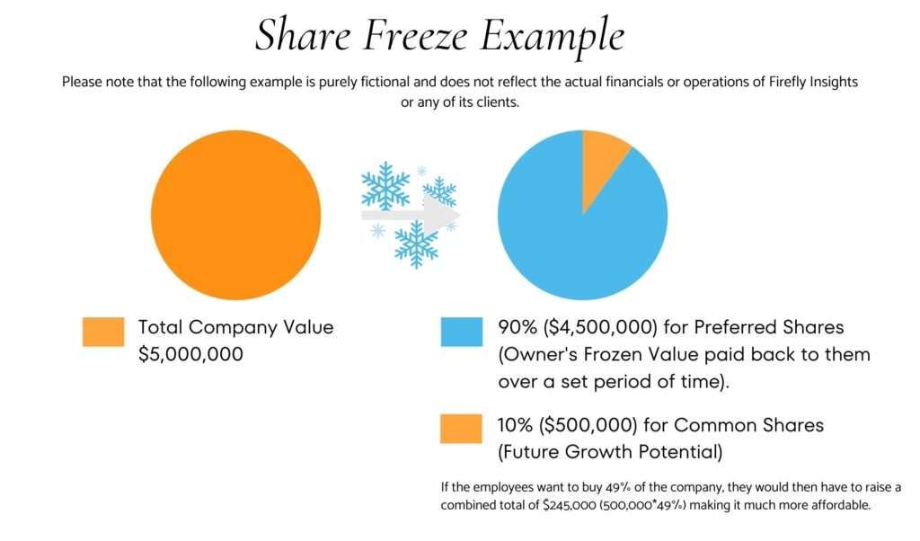 Pie chart explaining Share Freeze Example (purely fictional).  Total Company Value = $5,000,000.  In this example  90% for preferred shares and 10% for Common Shares.